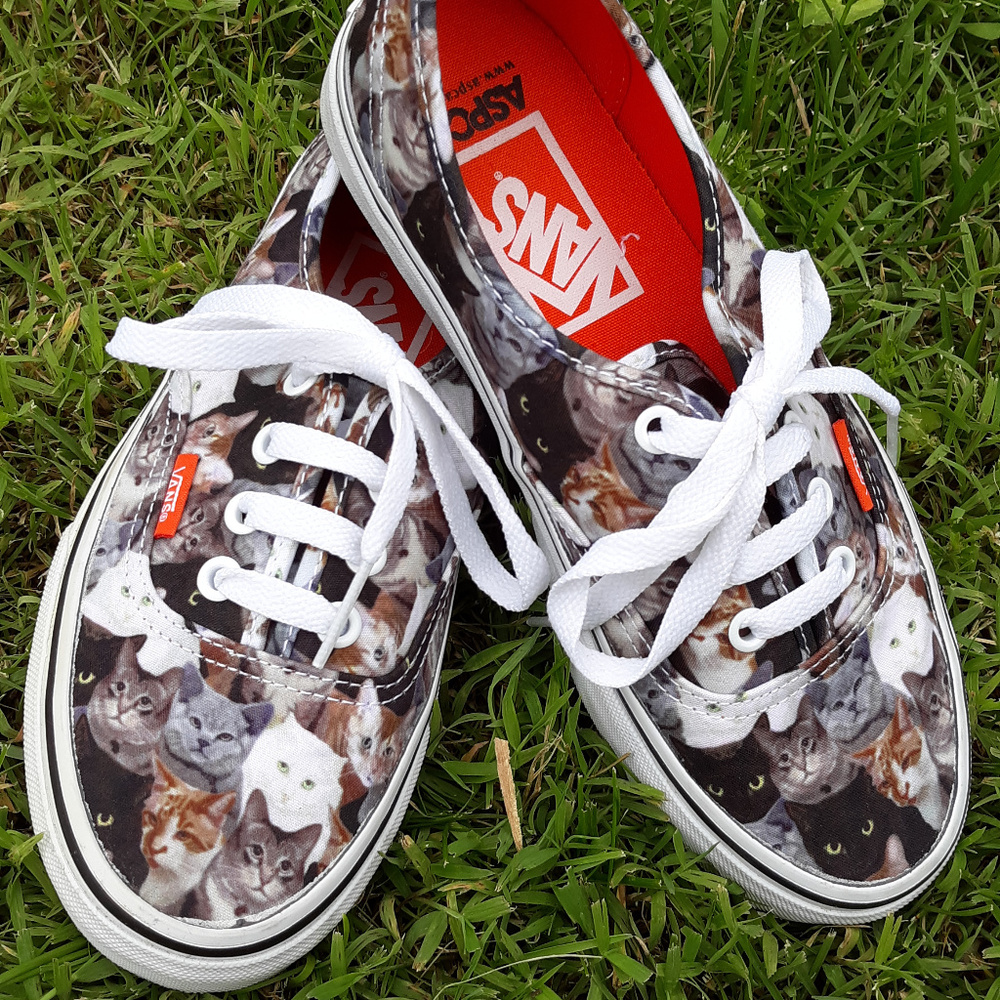 Vans Slip ons